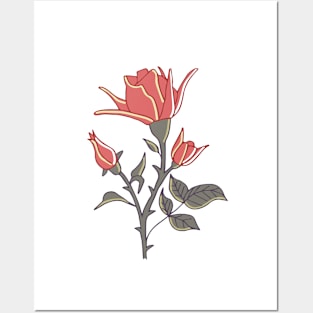 red rose with matte grayish green leaves Posters and Art